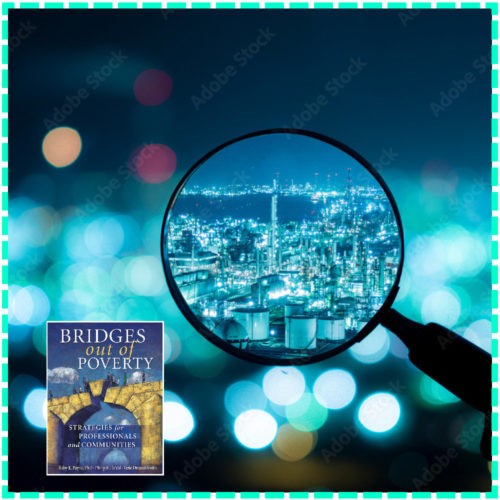 Applying Bridges The New Institutional