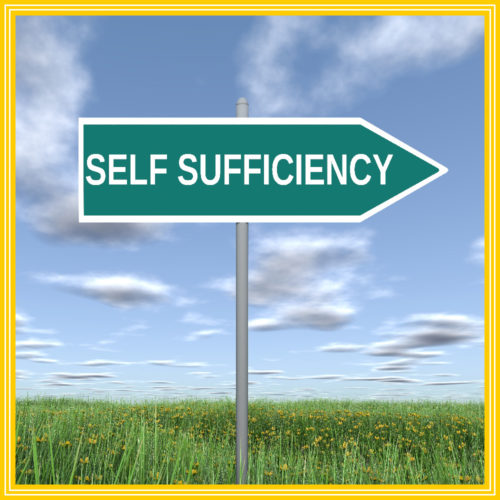 Real Pathways Social Economic